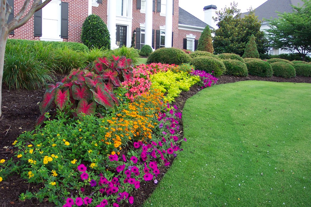 Curved flower bed with caladium and petunias
